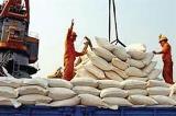 قرارداد عراق با آمریكا برای واردات گندم و برنج