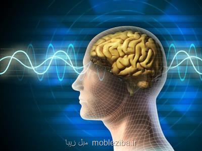 عرضه دستگاه ثبت سیگنال های مغزی و ابزار پوشیدنی پایش دمای بدن