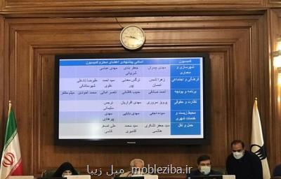 رئیس کمیسیون فرهنگی اجتماعی شورای شهر انتخاب گردید
