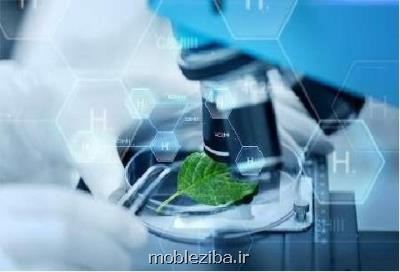 اعطای جایزه انتقال فناوری به برترین قراردادهای گروه دی-8