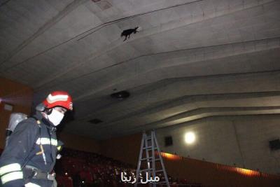 آتش سوزی در سینما ۲۲ بهمن رشت