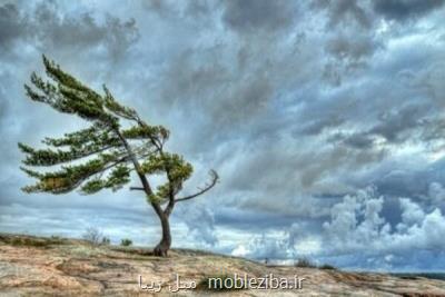 باد به کمک ریه تهرانی ها آمد