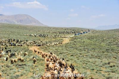 ۱۰ میلیارد تومان برای مدیریت کوچ اختصاص می یابد