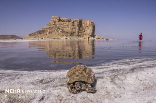 احیای دریاچه ارومیه مطالبه اصلی مردم آذربایجان شرقی از رییس جمهور