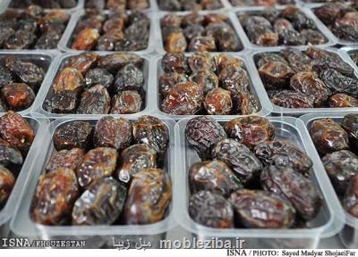 شروع خرید خرما در خوزستان