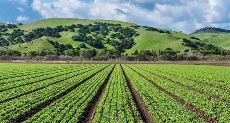 برگزاری سومین همایش ملی صنعت و تجاری سازی کشاورزی