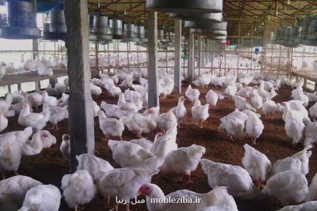 چرخ این صنعت به سختی می چرخد