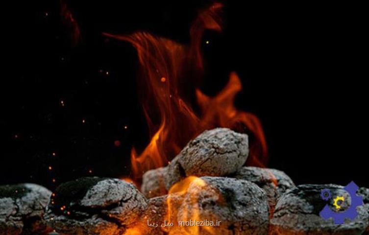 مهمترین پیش نیازها و سرمایه لازم برای تولید زغال باکیفیت