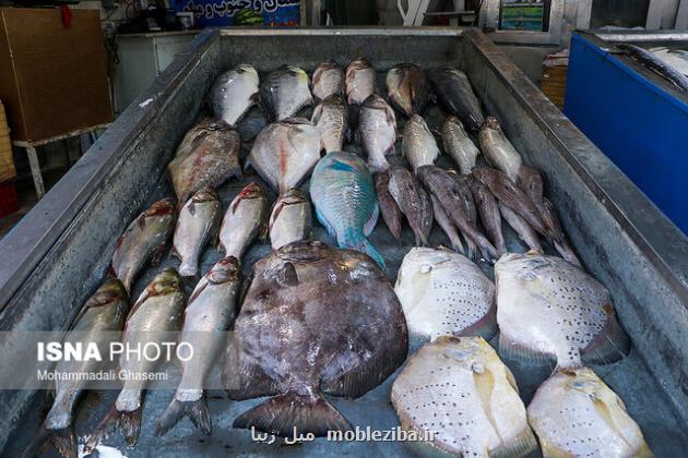 برگزاری نمایشگاه نوروزی تخصصی عرضه محصولات شیلاتی