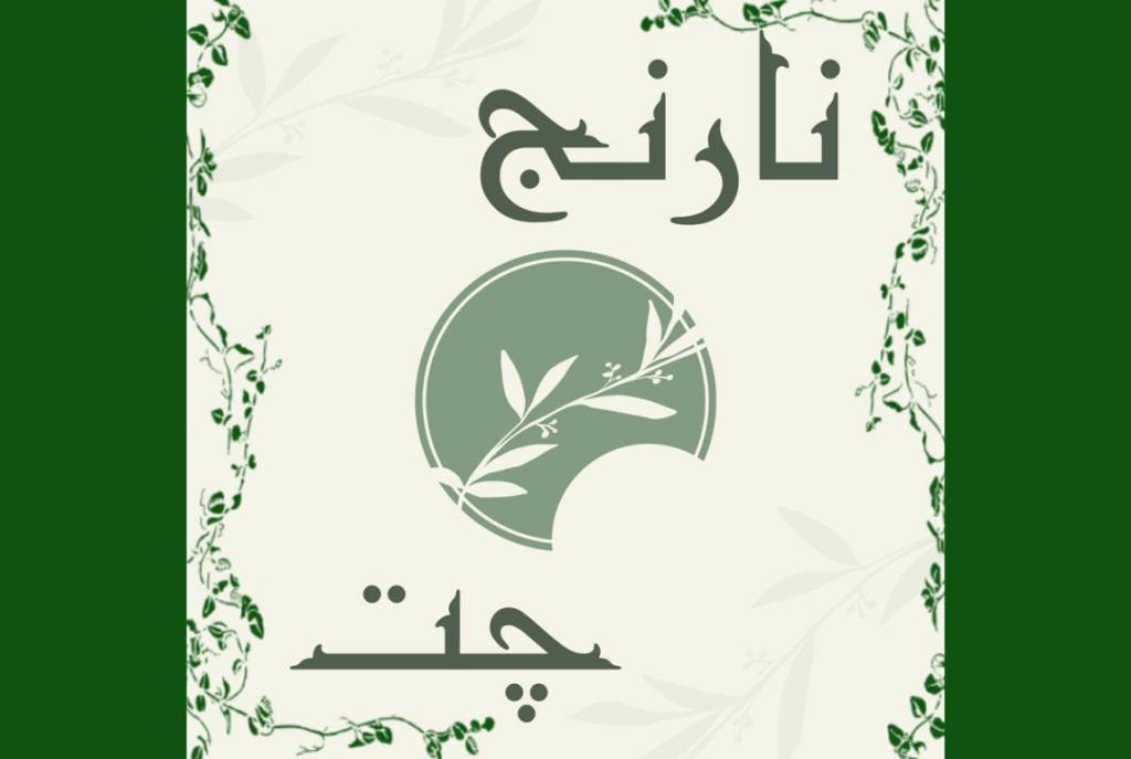 سایت چت روم فارسی نارنج شمال چت