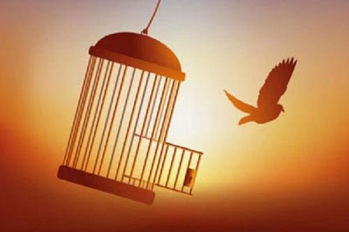 زمینه آزادی ۸ نفر از زندانیان مالی در استان تهران فراهم گردید