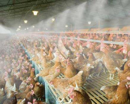 راهکار هوشمند برای خنک سازی و رطوبت رسانی در صنایع مختلف