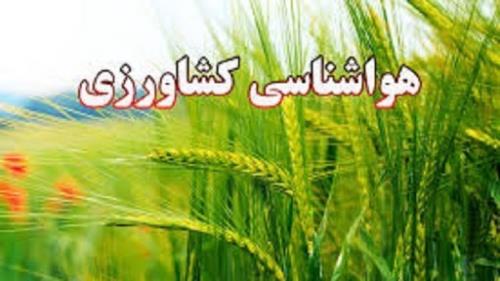 شست و شوی برگ درختان میوه دارای آفت امری لازم است
