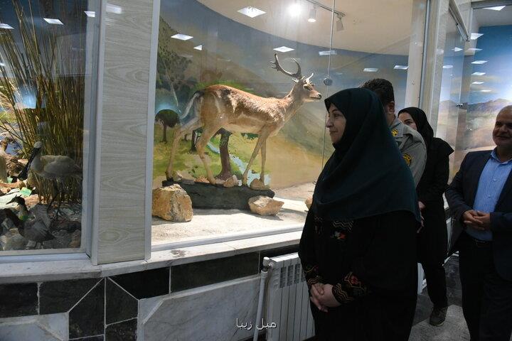 موزه های تاریخ طبیعی نقش مهمی در ارتقاء آگاهی عمومی دارد