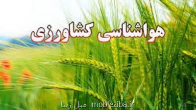 شست و شوی برگ درختان میوه دارای آفت امری لازم است