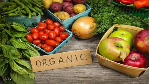 گردش مالی محصولات ارگانیک به ۵۰۰ میلیارد دلار می رسد
