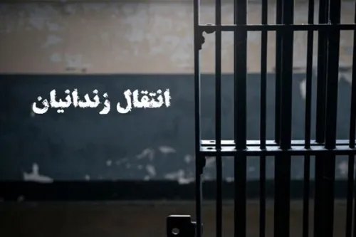 ۴ ایرانی محبوس در زندان های گرجستان به کشور منتقل شدند