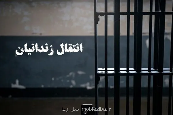 ۴ ایرانی محبوس در زندان های گرجستان به کشور منتقل شدند