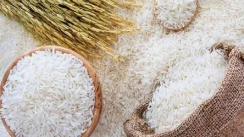 اصلاح بازگشت مالیات بر ارزش افزوده چاره ای برای تعدیل قیمت برنج به همراه فیلم