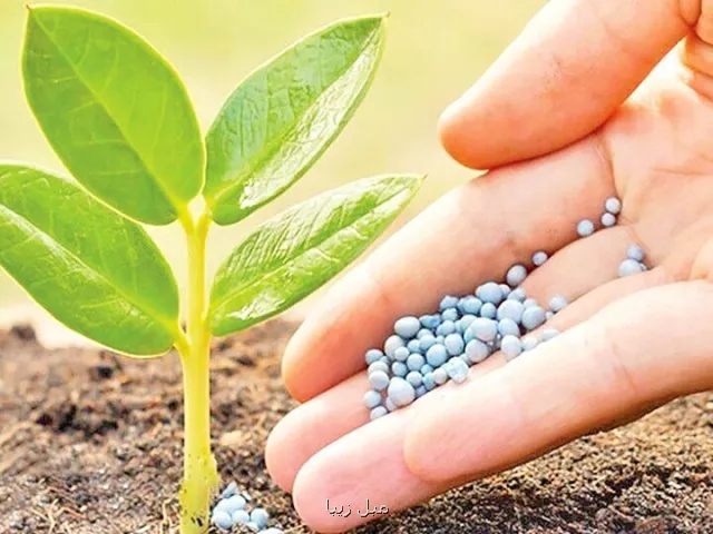 نظارت بر نهاده های کشاورزی تقویت می شود