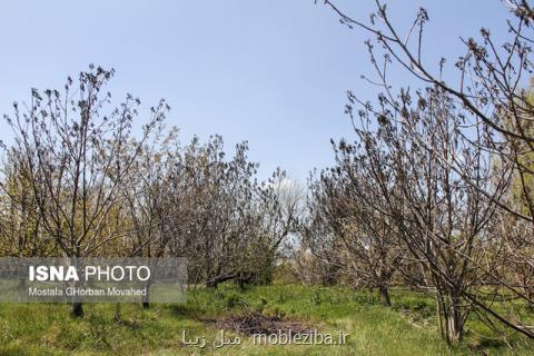 از خطر سرمازدگی محصولات كشاورزی تا خودداری از صیادی