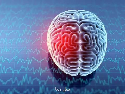 ساخت دستگاه تحریك الكتریكی مغز سازگار با MRI