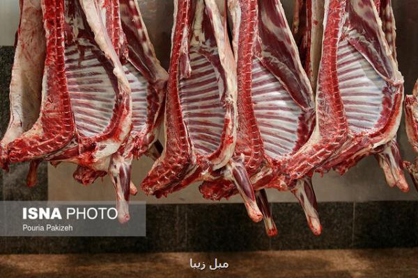 چرا گوشت ارزان نشد؟!