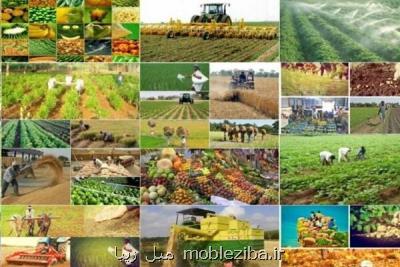 تولیدات كشاورزی فارس طی هفت سال حدود 23 درصد افزایش یافته است