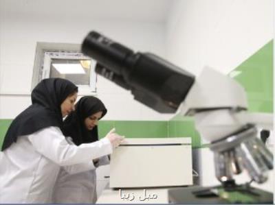 فعلا خبری از بازگشایی صنوف پرخطر نیست