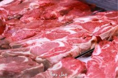 ۴۰ تن از گوشت های مغولی تحویل گردید تا پودر شود!